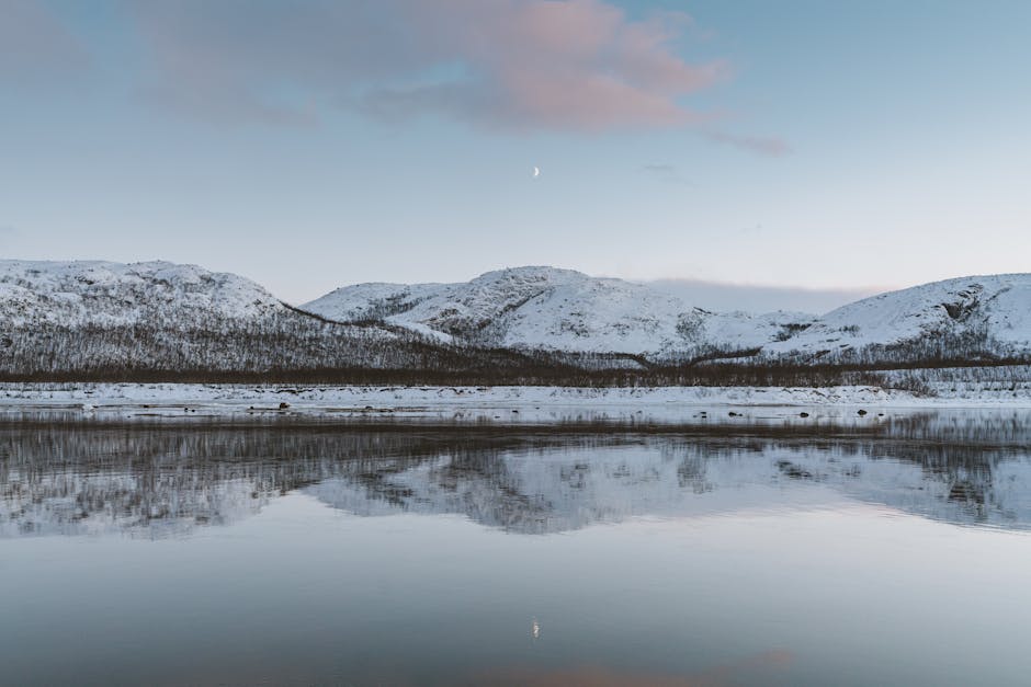 Кольский залив