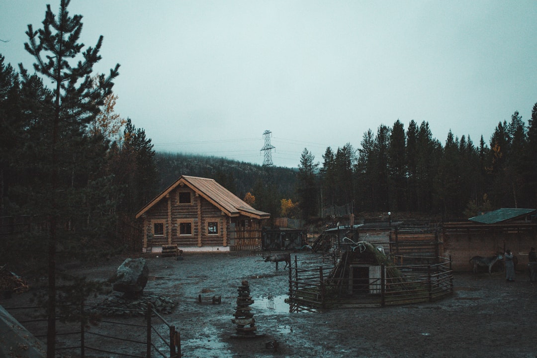 Полярно-альпийский ботанический сад