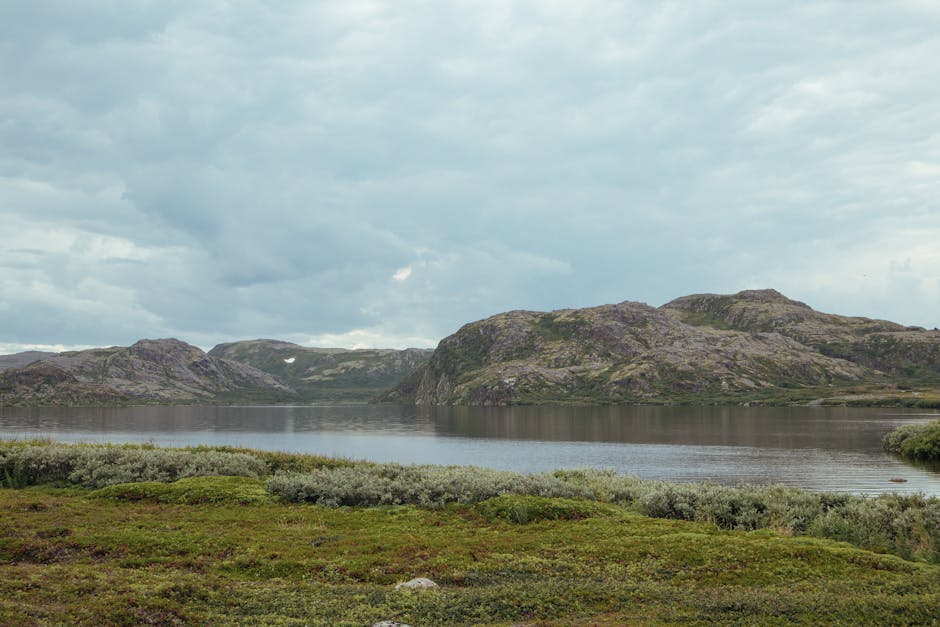 Памятник коту Семёну