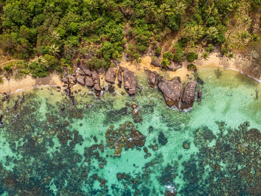 Тур во Вьетнам на Фукуок: бюджетный отдых в мае 2026